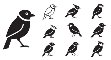 Fototapeta premium Black and white bird vector illustration featuring a flock birds