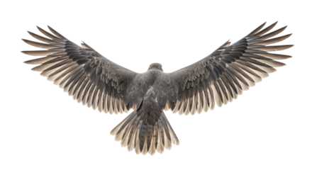 A majestic bird soaring gracefully with wings spread wide, captured in mid-flight