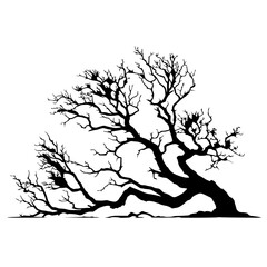 Silhouette of a fallen tree