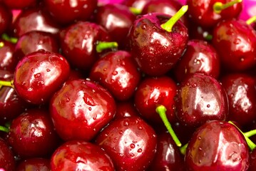 摘みたてのサクランボ