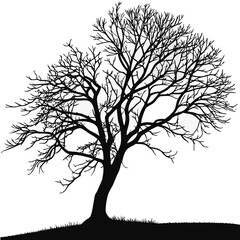 Obraz premium vector tree silhouette