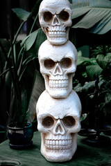 Halloween holiday paraphernalia and decorations for outdoor and backyard celebrations.