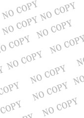 Fototapeta premium コピーガード①