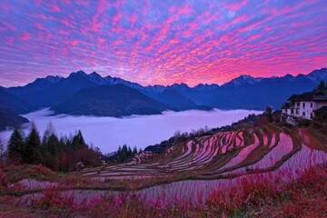 Sunrise over terraced rice paddies, mountain, clouds