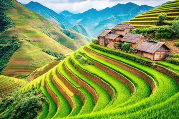 Lush terraced rice paddies ascend mountain slopes, with rustic farmhouses nestled amidst the greenery