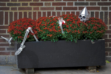 Halloween holiday paraphernalia and decorations for outdoor and backyard celebrations.