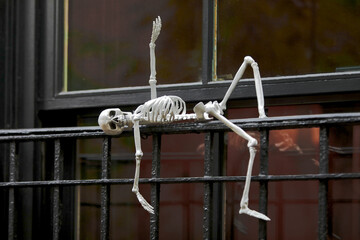 Halloween holiday paraphernalia and decorations for outdoor and backyard celebrations.