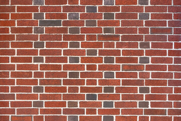 Halloween holiday paraphernalia and decorations for outdoor and backyard celebrations.