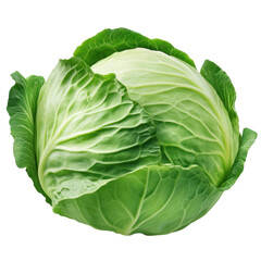 Obraz premium Fresh Green Cabbage With Visible Veins And Ruffled Outer Leaves Isolated On A Transparent Background Transparent