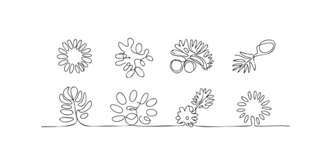 Set of abstract botanical line art elements