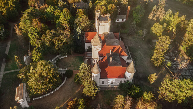Drone Landscape of Fantast Castle in Vast Park