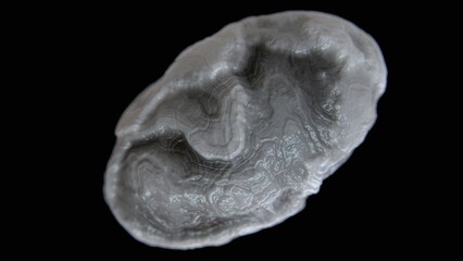 Abstract organic 3d structure with biological texture and depth of field on black background