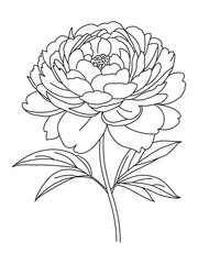 Peony flower sketch outline vector ,Peony flower spring botanical line art drawing in engraving style,Botanical Coloring Page,Outline peony Isolated ,Hand drawn vector line art
