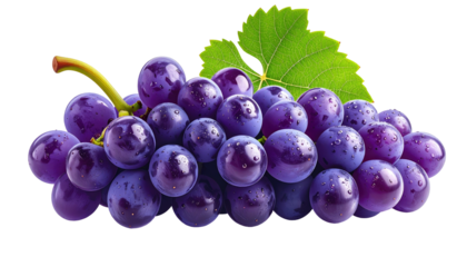 Purple grapes clump with a green leaf against black, droplets add freshness