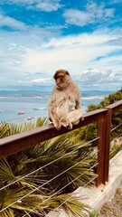 man sitting on the edge of a lake Gibraltar