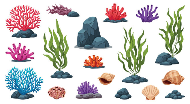 Vibrant collection of underwater marine life elements featuring colorful corals, green seaweed, diverse rocks, and seashells, on a white background.