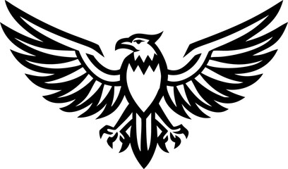 Obraz premium eagle with wings