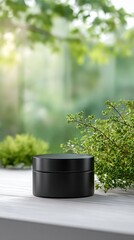 Blank Black Jar Front View White Background Green Plant Nature Blur Setting