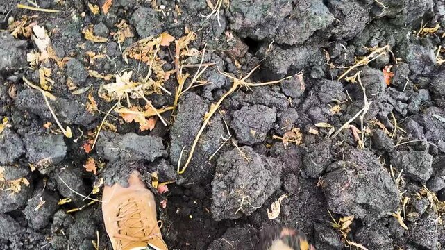 Ukrainian ZSU soldier walking through a muddy field with heavy black soil sticking to combat boots. Military infantryman moving across fertile chernozem earth during a mission in Ukraine.