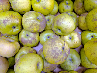 Fresh green apples in a market display showcasing a variety of shapes and sizes