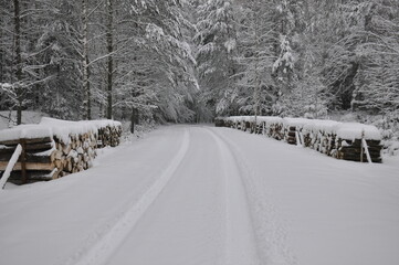 Fototapeta premium Snow-covered road lined with stacked logs in a serene winter landscape in the forest