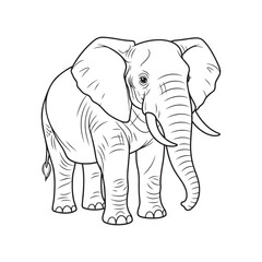Fototapeta premium Cartoon Elephant Line Drawing – Cute African Animal Outline Vector for Coloring Book and Kids Illustration