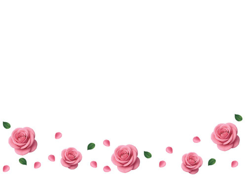 pink petal and rose flower.eps