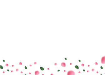 pink rose flower petal.eps