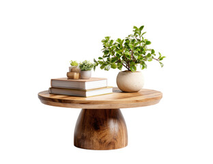 Wooden pedestal side table with succulents