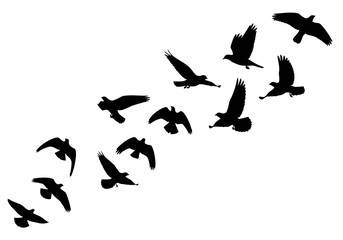 Fototapeta premium silhouettes of birds vector icon stock symbol
