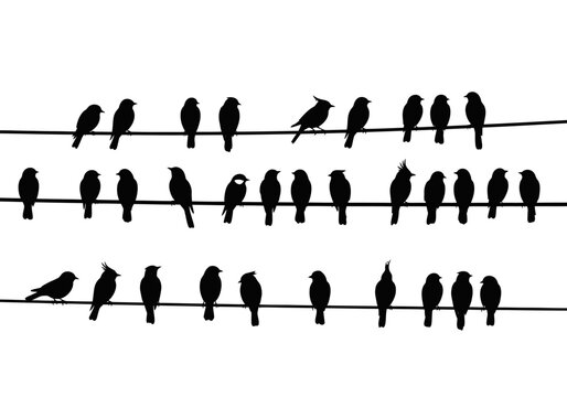 silhouettes of blck birds vector icons symbol image on wire