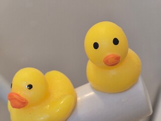 yellow rubber duck