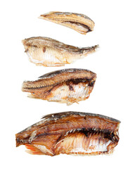 Four fish fins are shown in a row