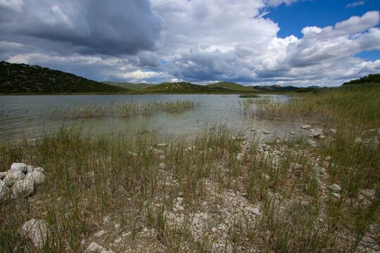 Vrana Lake (Vransko jezero) nature park wetland shore near Prosika (Pirovac), Zadar, Croatia