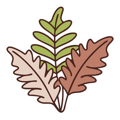 Fototapeta premium Colorful fern leaves in various shapes