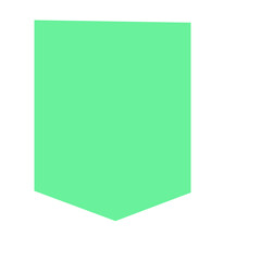 Flat green shield 2D vector shape, minimal geometric design element for infographic, emblem, or education and creative design.