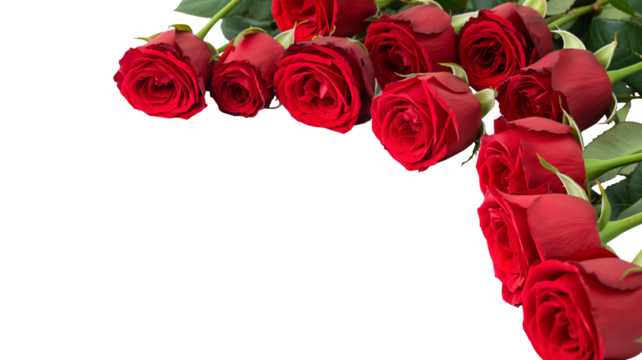 Elegant red roses, perfect for romantic occasions and celebrations - Powered by Adobe