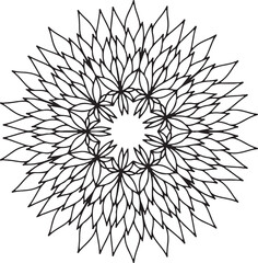 black and white abstract flower