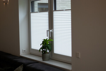 White pleated blinds on two windows in a room, window sill with a green plant 