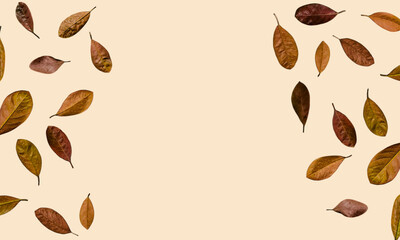 Falling jackfruit autumn leaves on a light orange surface