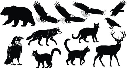 Wild animal silhouettes, bear, eagle, raven, wolf, deer, cat, predator and prey, black vector, wildlife shapes, nature illustration, isolated icons