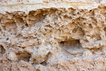 Details from a wall of Roman Amphitheatre El Djem, Tunisia