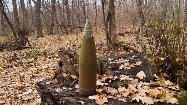 in the autumn forest near Kharkov, Ukraine on a stump stands an unexploded three-inch artillery shell, produced in the Third Reich. the inscription on the fuse has been preserved