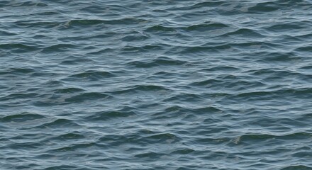 Obraz premium Blue water surface with small choppy waves Reflective sunlight creates variations