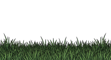 Grass Edge Texture