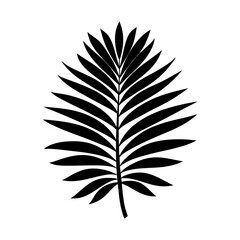 Fototapeta premium Black silhouette of a palm leaf on a white background