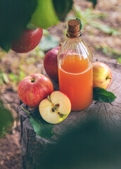 Apple cider vinegar in the garden. Selective focus.