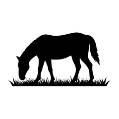 Silhouette of a horse grazing in a grassy field
