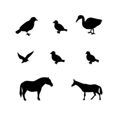 Vector art of a collection of black silhouettes of various birds and horses, the birds are in different poses, and the horses are standing