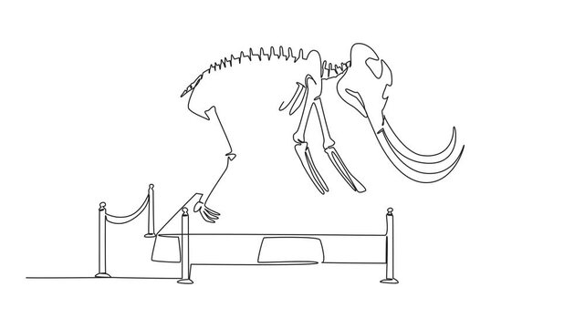 Animation of single one line drawing mammoth bird dinosaur skeleton in museum room. Museum for learning. Dangerous. International Museum Day. Continuous line self drawing animated. Full length motion